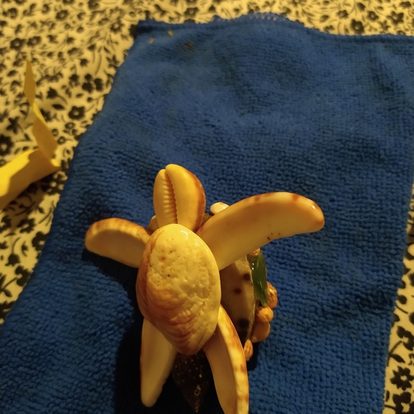 Hand crafted Kauai seashell Turtles - Picture 4 of 4